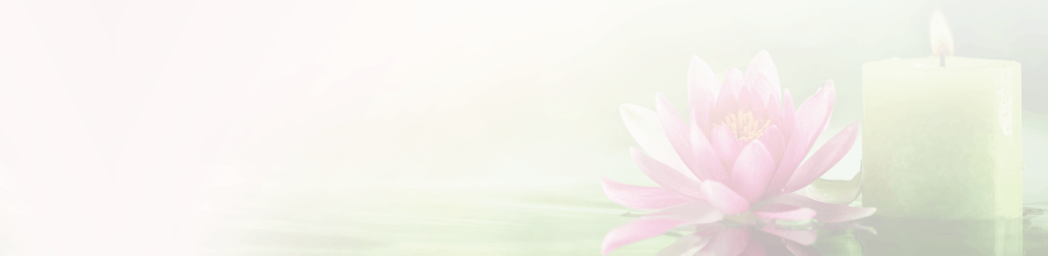 Header without vertical menu