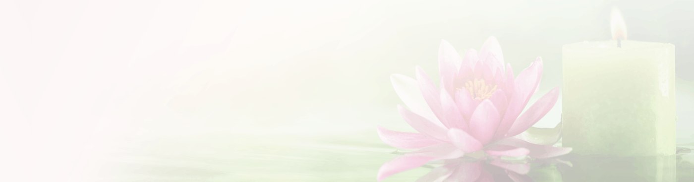 Header with menu